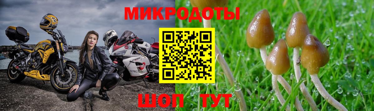 хочу наркоту  Вход с VPN  Нижнеудинск  Галлюциногенные грибы ЛСД 
